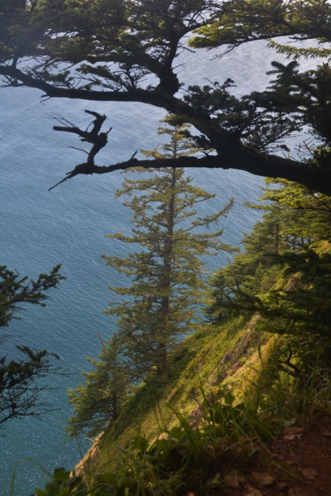 The view from the top of Cape Lookout